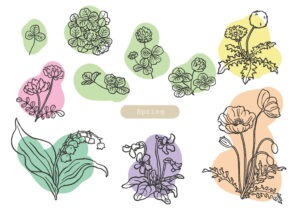 4月の連休のお知らせ