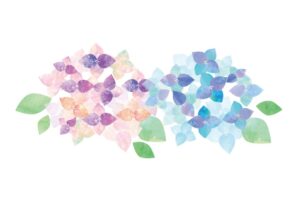 6月の連休のお知らせ